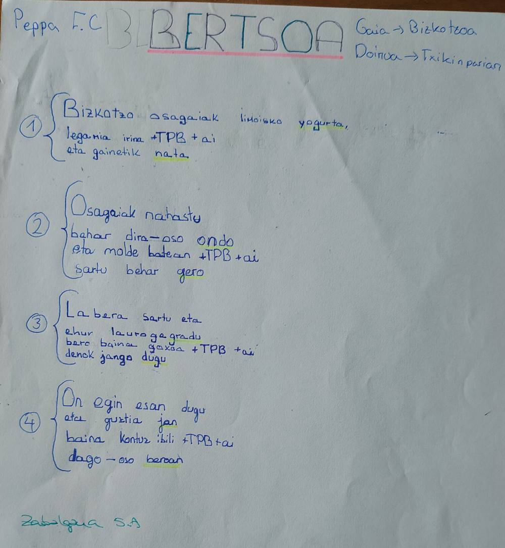 Gure bertso baten argazkia